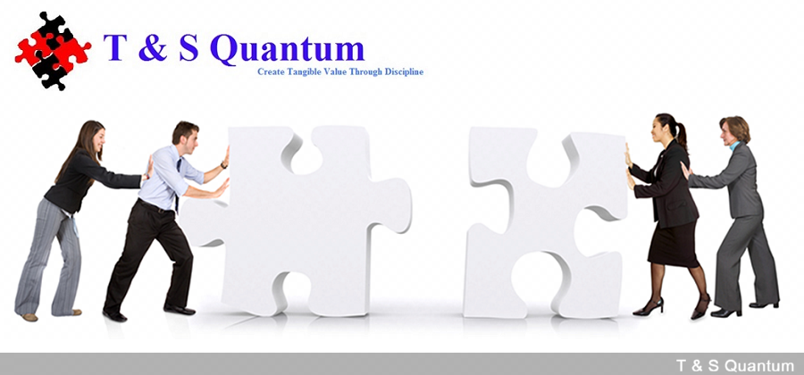 T&S Quantum